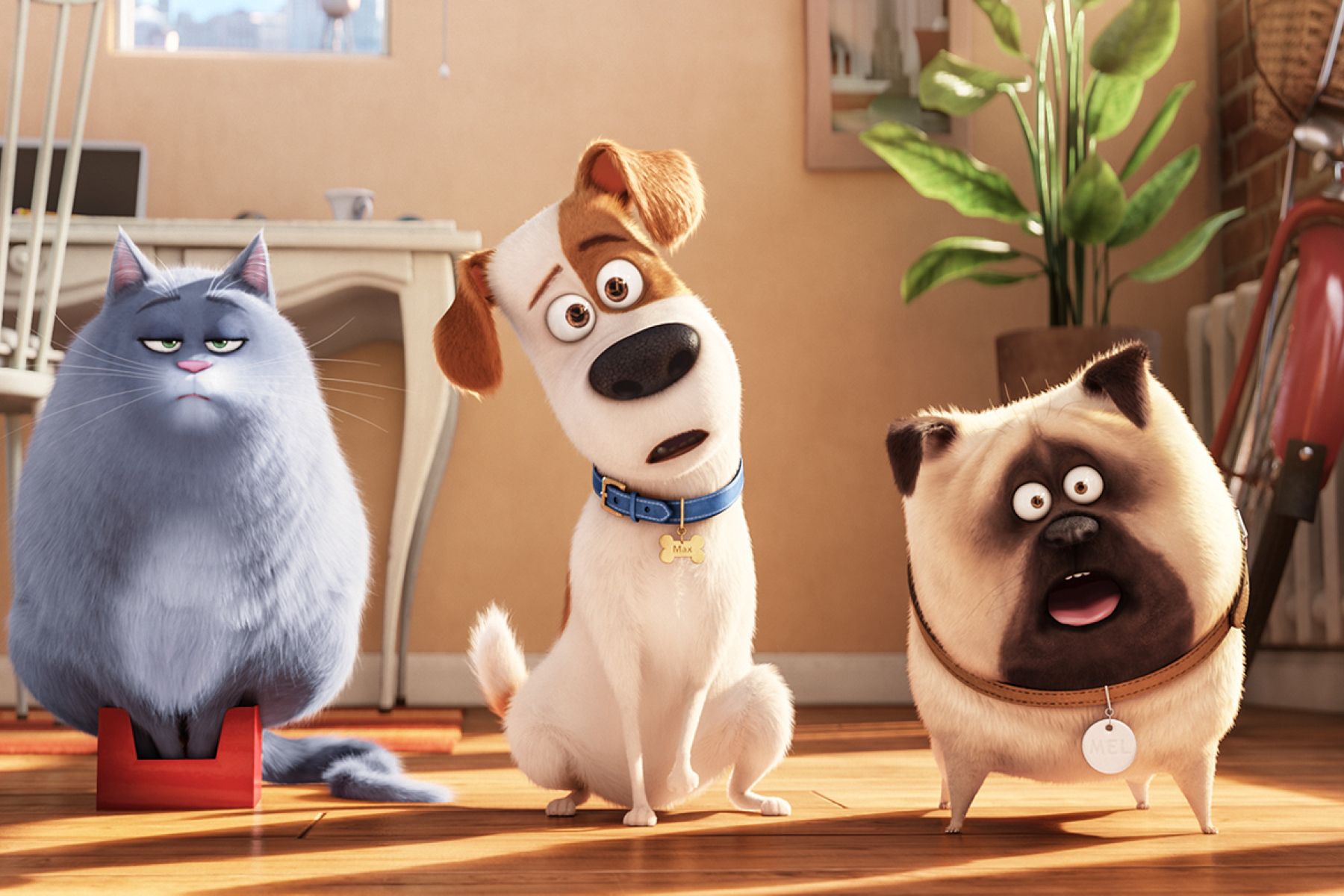 “Who wouldn’t want to see that?” – A Chat with The Secret Life of Pets Writer Brian Lynch