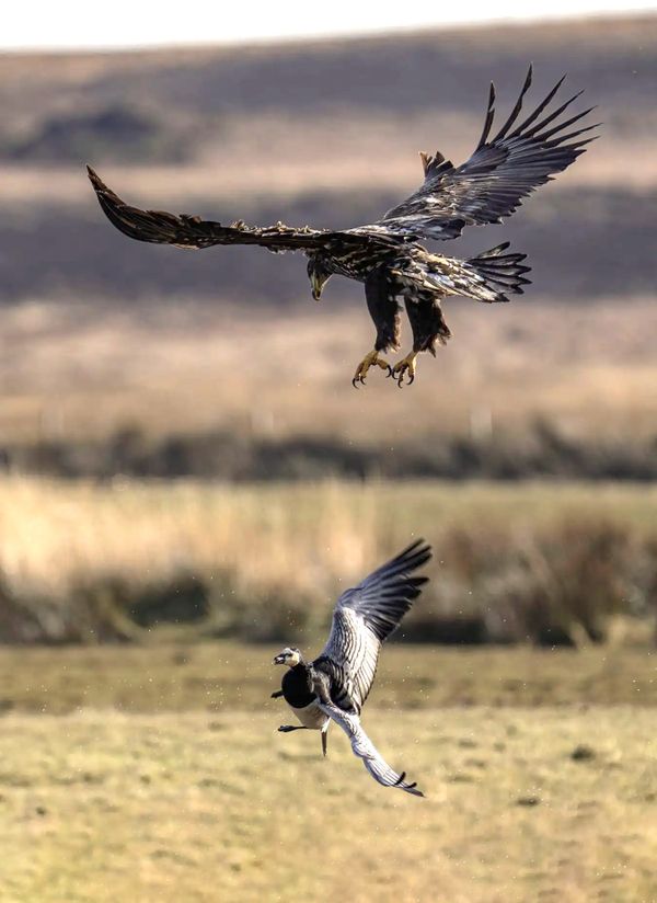 Why Nature Docs Rock